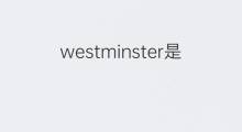 westminster是什么意思 westminster的中文翻译、读音、例句