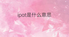 ipat是什么意思 ipat的中文翻译、读音、例句