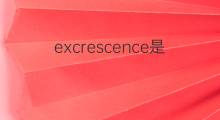 excrescence是什么意思 excrescence的中文翻译、读音、例句