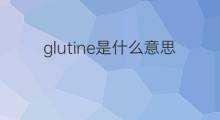 glutine是什么意思 glutine的中文翻译、读音、例句
