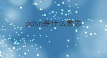 pdsn是什么意思 pdsn的中文翻译、读音、例句