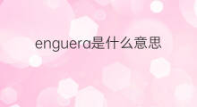 enguera是什么意思 enguera的中文翻译、读音、例句