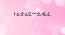 hecke是什么意思 hecke的中文翻译、读音、例句