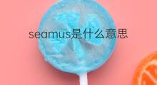 seamus是什么意思 seamus的中文翻译、读音、例句