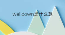 welldown是什么意思 welldown的中文翻译、读音、例句