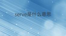 serve是什么意思 serve的中文翻译、读音、例句