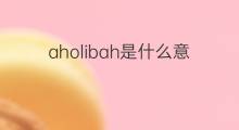 aholibah是什么意思 aholibah的中文翻译、读音、例句