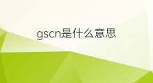 gscn是什么意思 gscn的中文翻译、读音、例句