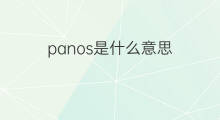 panos是什么意思 panos的中文翻译、读音、例句