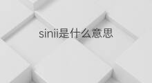sinii是什么意思 sinii的中文翻译、读音、例句