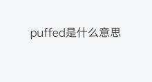 puffed是什么意思 puffed的中文翻译、读音、例句