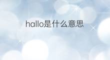 hallo是什么意思 hallo的中文翻译、读音、例句