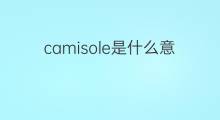 camisole是什么意思 camisole的中文翻译、读音、例句