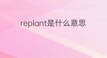 replant是什么意思 replant的中文翻译、读音、例句