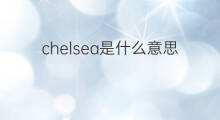 chelsea是什么意思 chelsea的中文翻译、读音、例句