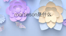 martinson是什么意思 英文名martinson的翻译、发音、来源