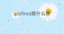 misfired是什么意思 misfired的中文翻译、读音、例句