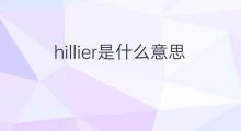 hillier是什么意思 hillier的中文翻译、读音、例句
