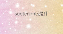subtenants是什么意思 subtenants的中文翻译、读音、例句