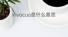 invacuo是什么意思 invacuo的中文翻译、读音、例句