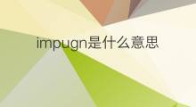 impugn是什么意思 impugn的中文翻译、读音、例句