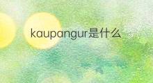 kaupangur是什么意思 kaupangur的中文翻译、读音、例句