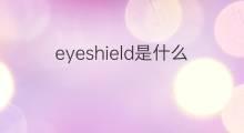 eyeshield是什么意思 eyeshield的中文翻译、读音、例句