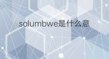 salumbwe是什么意思 salumbwe的中文翻译、读音、例句