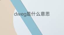 dweg是什么意思 dweg的中文翻译、读音、例句