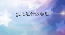 gula是什么意思 gula的中文翻译、读音、例句