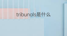 tribunals是什么意思 tribunals的中文翻译、读音、例句