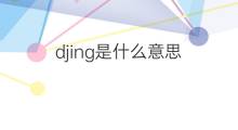djing是什么意思 djing的中文翻译、读音、例句