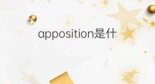 apposition是什么意思 apposition的中文翻译、读音、例句