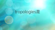 tropologies是什么意思 tropologies的中文翻译、读音、例句
