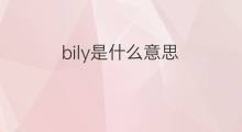 bily是什么意思 英文名bily的翻译、发音、来源
