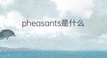 pheasants是什么意思 pheasants的中文翻译、读音、例句