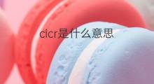 cicr是什么意思 cicr的中文翻译、读音、例句