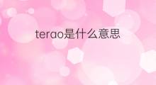 terao是什么意思 terao的中文翻译、读音、例句