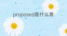proposed是什么意思 proposed的中文翻译、读音、例句