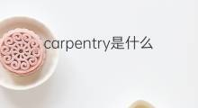 carpentry是什么意思 carpentry的中文翻译、读音、例句