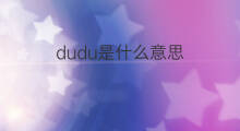 dudu是什么意思 dudu的中文翻译、读音、例句