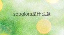 squalors是什么意思 squalors的中文翻译、读音、例句