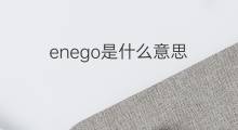 enego是什么意思 enego的中文翻译、读音、例句