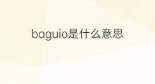 baguio是什么意思 baguio的中文翻译、读音、例句