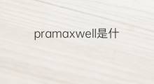 pramaxwell是什么意思 pramaxwell的中文翻译、读音、例句