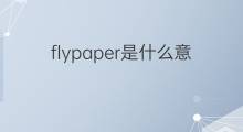 flypaper是什么意思 flypaper的中文翻译、读音、例句
