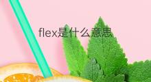 flex是什么意思 flex的中文翻译、读音、例句