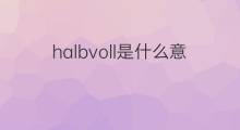 halbvoll是什么意思 halbvoll的中文翻译、读音、例句
