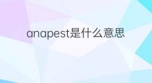 anapest是什么意思 anapest的中文翻译、读音、例句