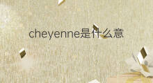 cheyenne是什么意思 cheyenne的中文翻译、读音、例句